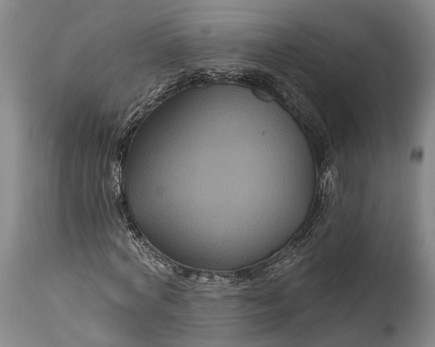 X0000115320772200911161744