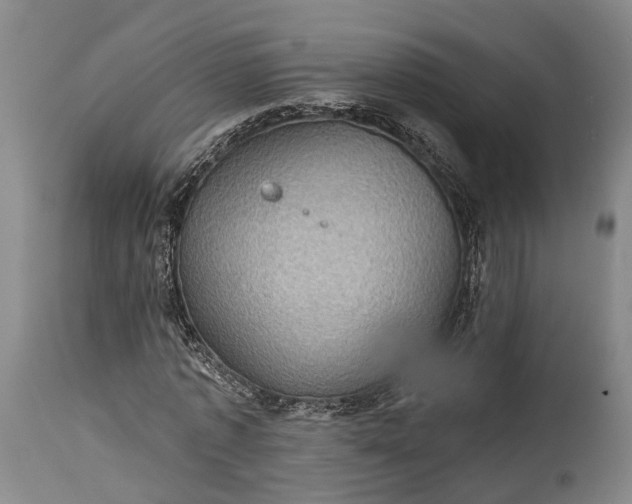 X0000115320773200911161744