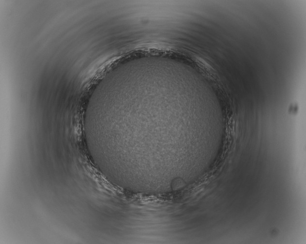 X0000115320774200911161744