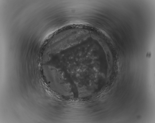 X0000115320775200911161744