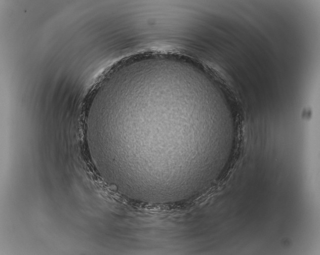 X0000115320776200911161744