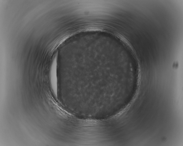 X0000115320777200911161744