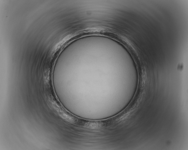 X0000115320778200911161744