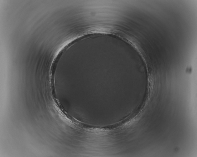 X0000115320779200911161744