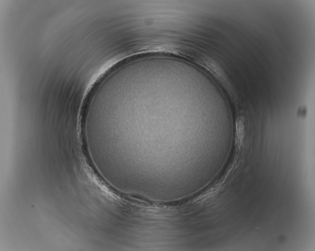 X0000115320780200911161744