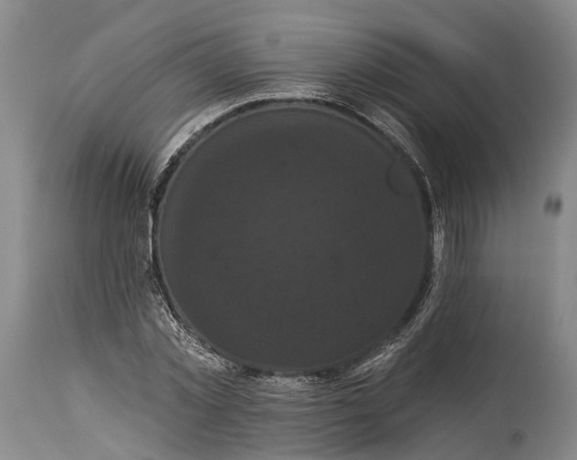 X0000115320781200911161744