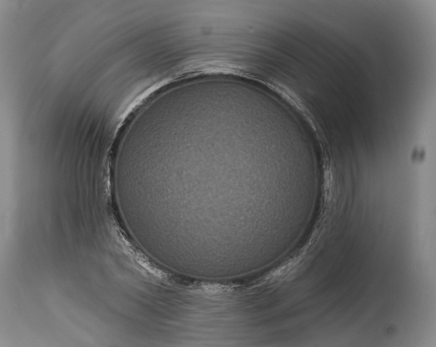 X0000115320782200911161744