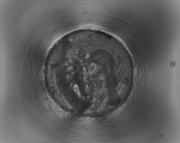 X0000115320783200911161744