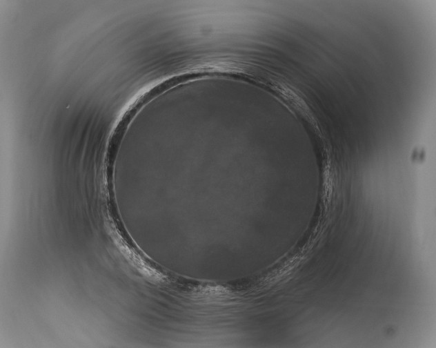 X0000115320784200911161744