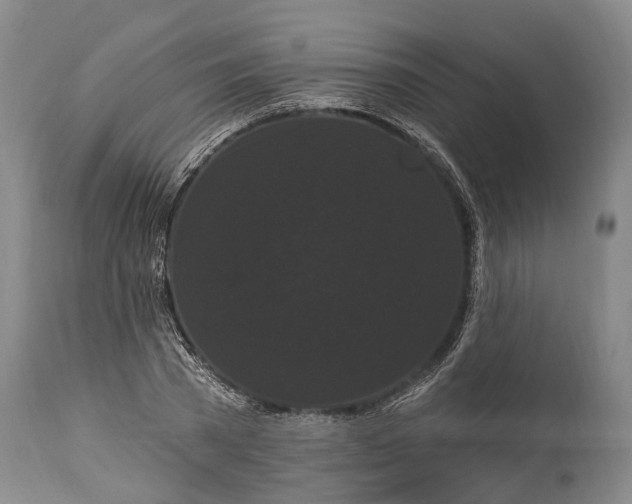 X0000115320785200911161744