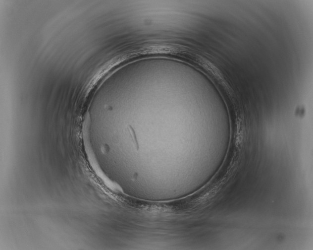 X0000115320786200911161744