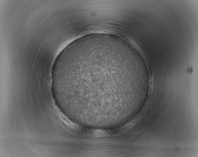 X0000115320787200911161744