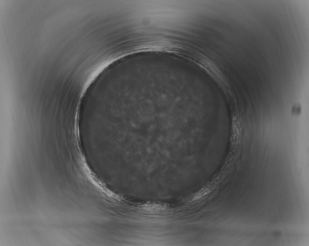 X0000115320788200911161744