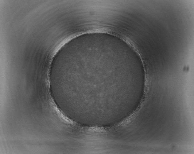 X0000115320789200911161744