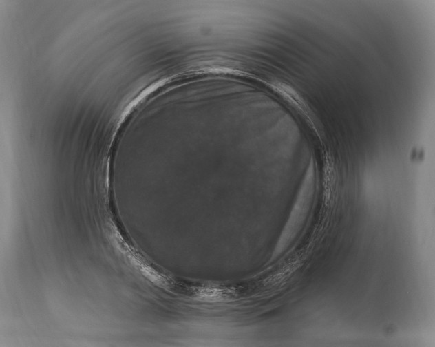 X0000115320790200911161744