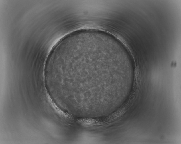 X0000115320791200911161744