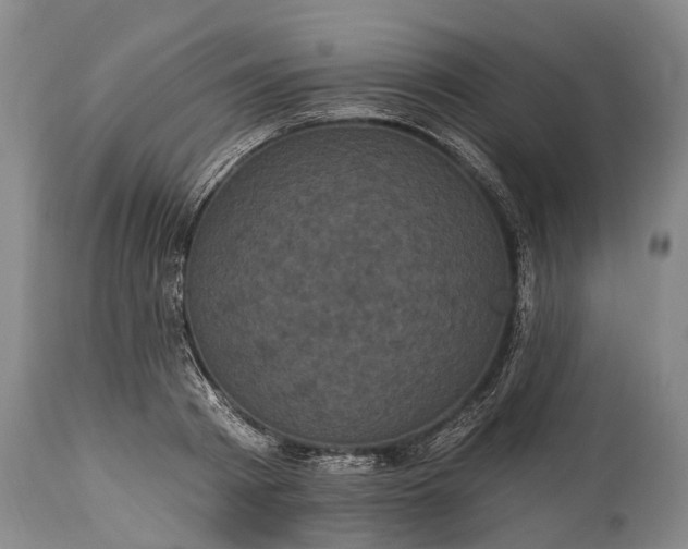 X0000115320793200911161744