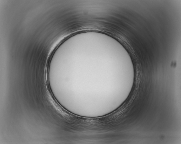 X0000115320796200911161744