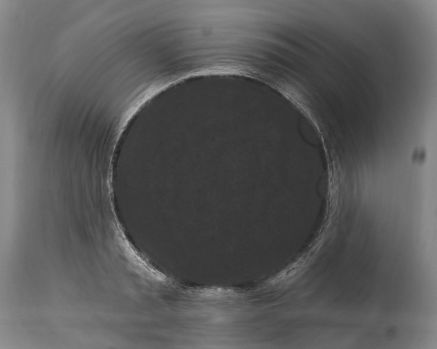 X0000115320797200911161744