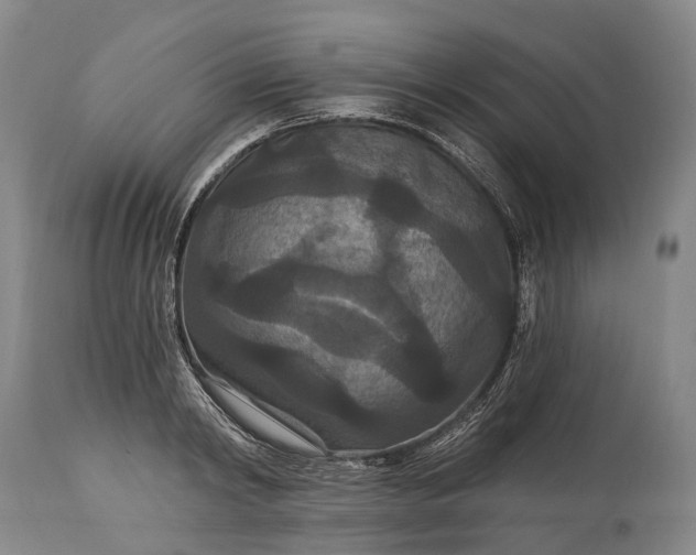 X0000115320798200911161744