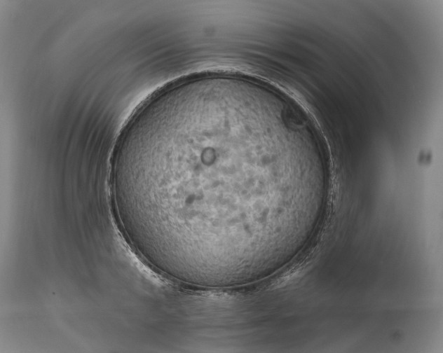 X0000115320799200911161744