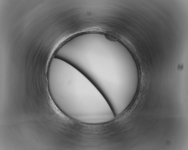 X0000115320800200911161744