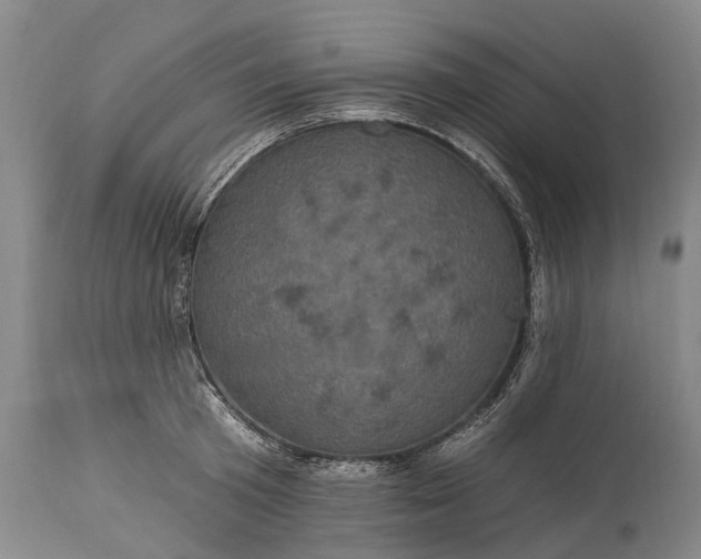 X0000115320801200911161744