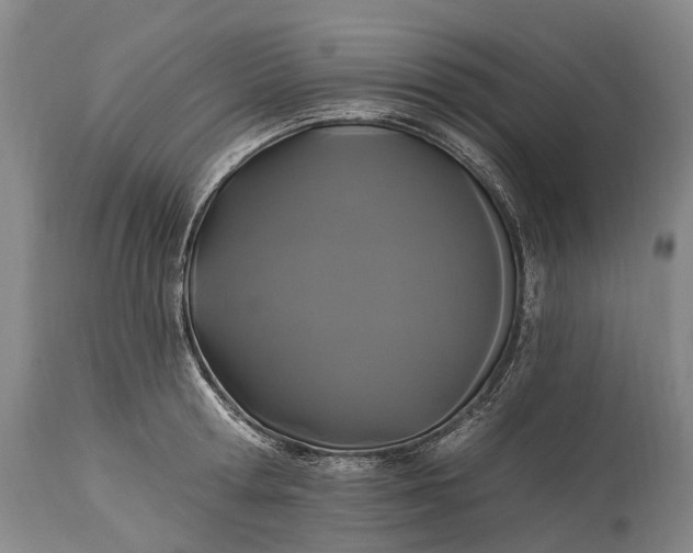 X0000115320802200911161744