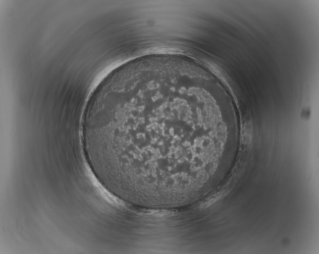 X0000115320803200911161744