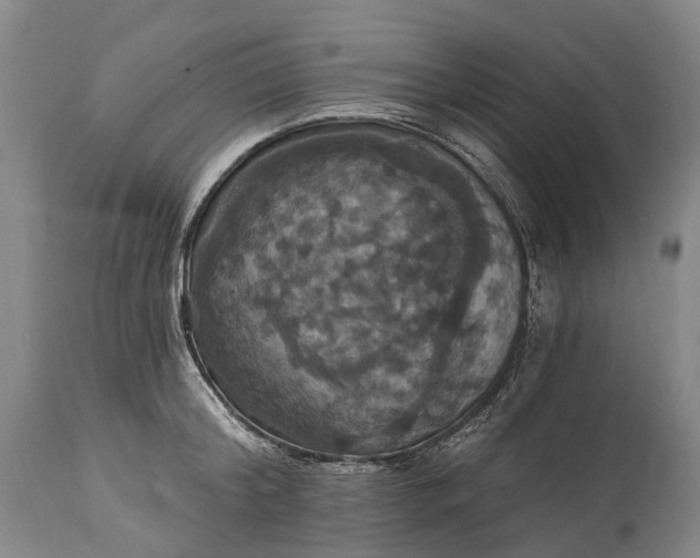 X0000115320804200911161744