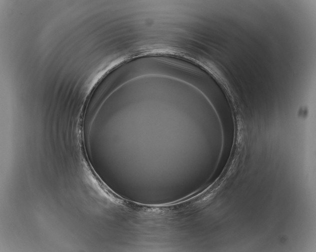 X0000115320806200911161744