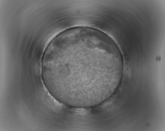 X0000115320807200911161744