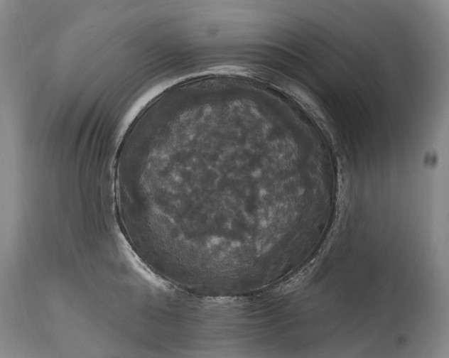 X0000115320808200911161744