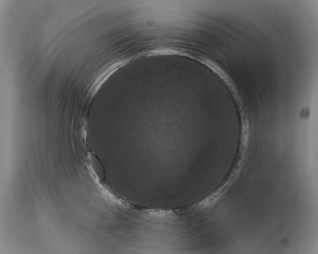 X0000115320809200911161744