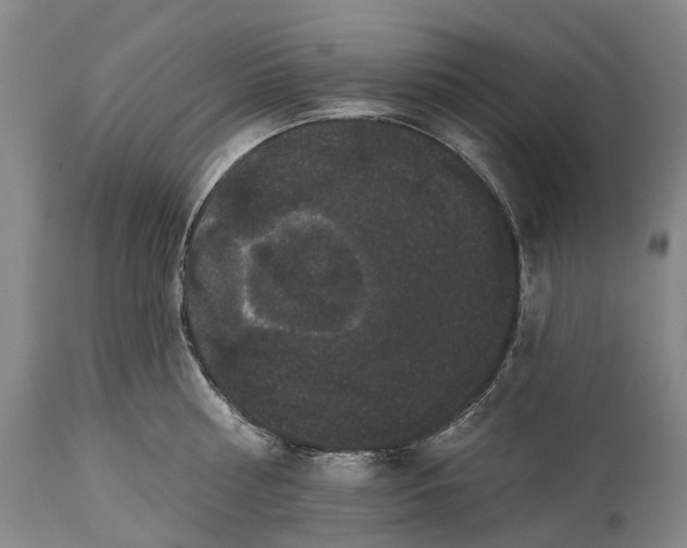 X0000115320810200911161744