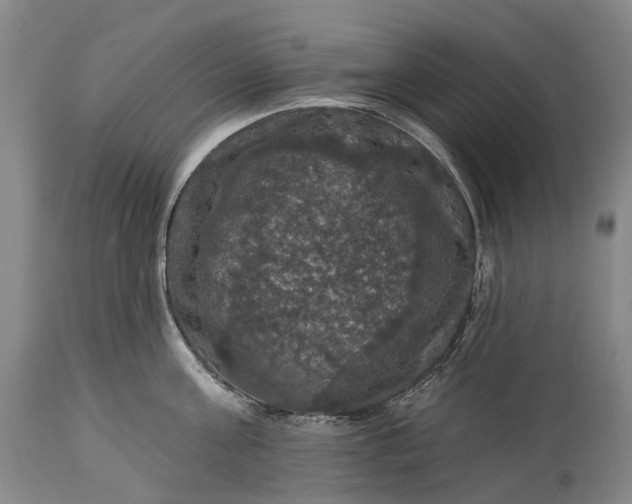 X0000115320811200911161744