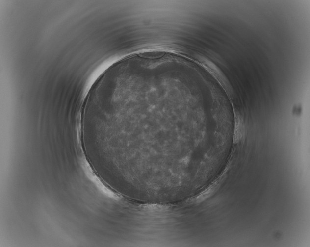 X0000115320812200911161744