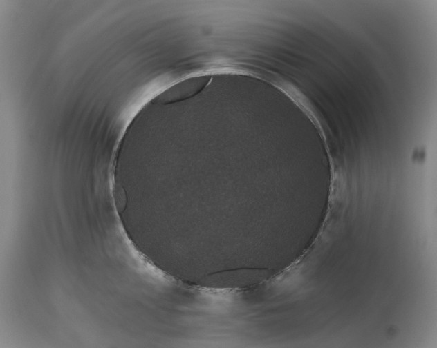 X0000115320813200911161744