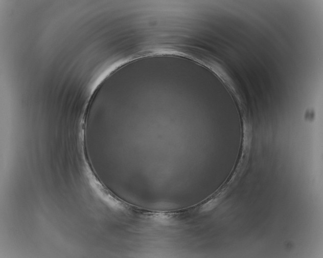 X0000115320814200911161743