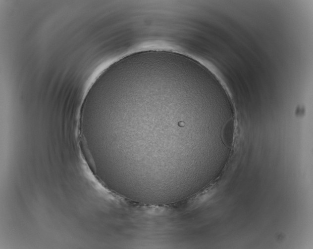 X0000115320815200911161743