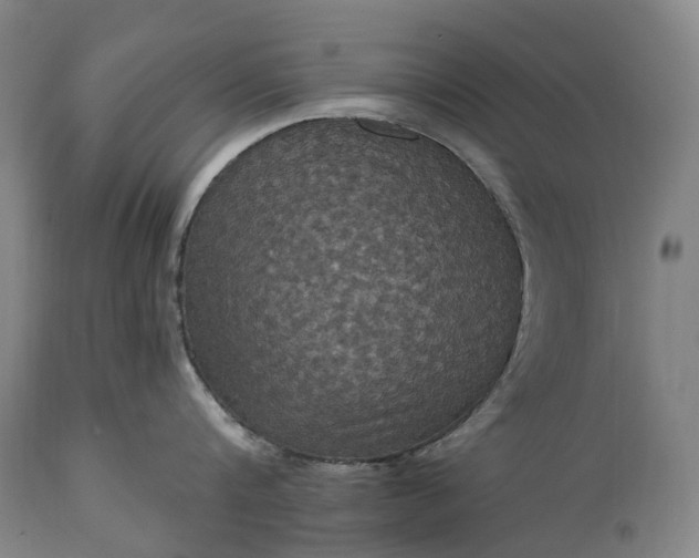 X0000115320816200911161743