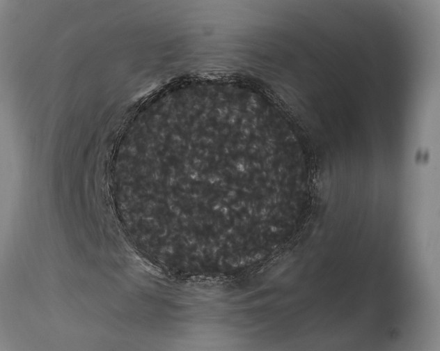 X0000115320817200911161743