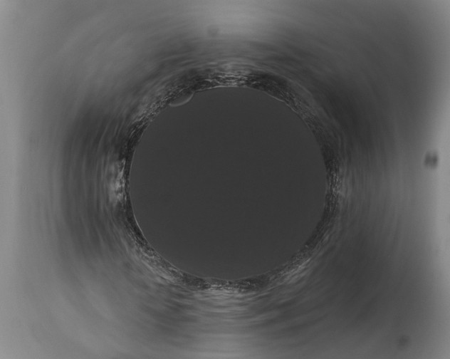 X0000115320818200911161743