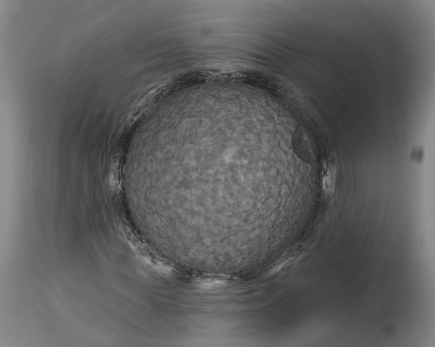 X0000115320819200911161743