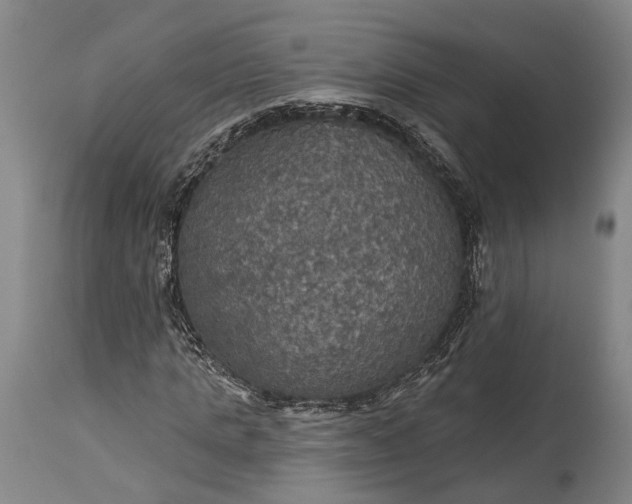 X0000115320821200911161743