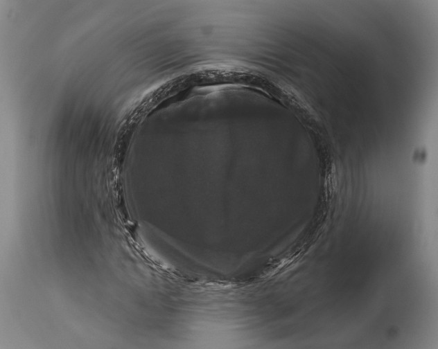 X0000115320822200911161743