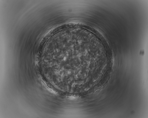 X0000115320823200911161743