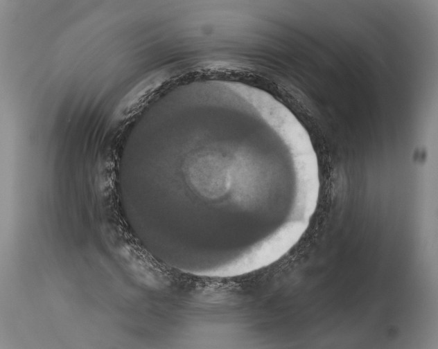 X0000115320824200911161743