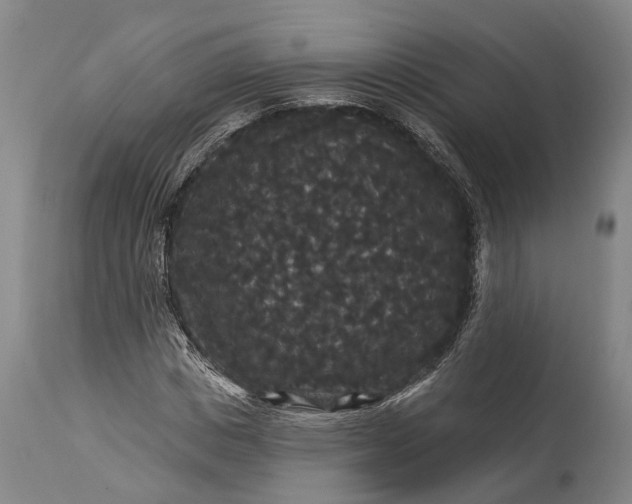 X0000115320825200911161743