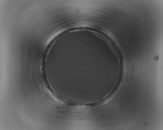 X0000115320826200911161743